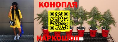 прущая мука Гусиноозёрск